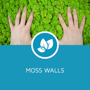 moss walls