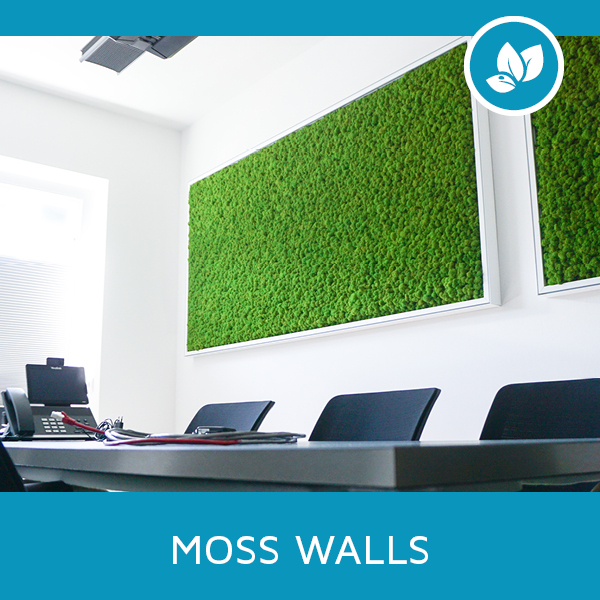 moss walls