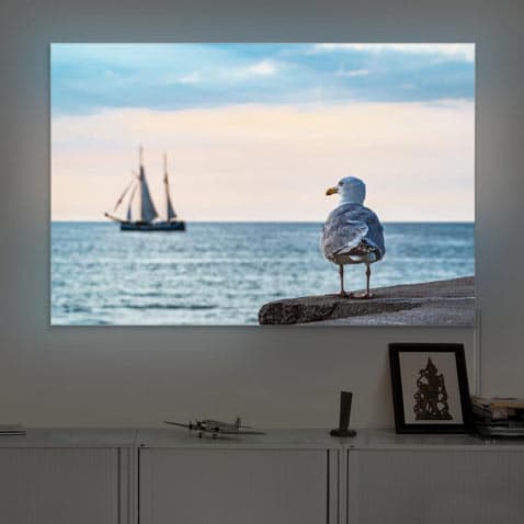 LED lighted picture
seagull by the sea